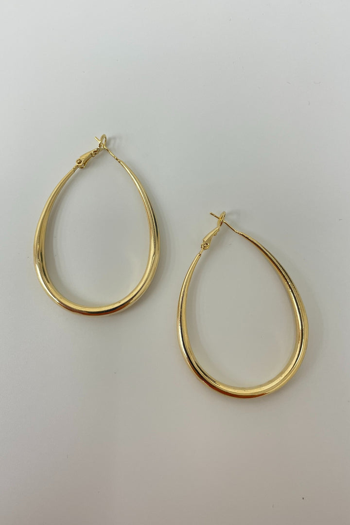 Sculpted Oval Shaped Earrings