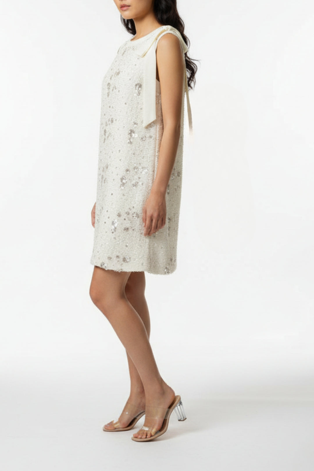 Ivory Serenity Embellished Dress